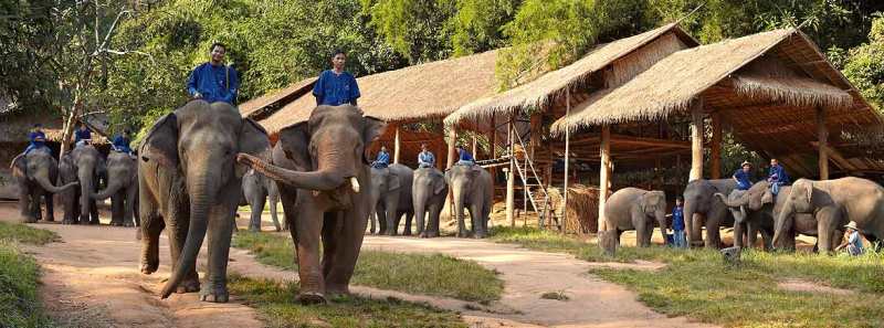 Anantara_Golden_Triangle_Elephant_Camp